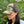 Front view of a woman wearing the Iconic Monkee Multicam Trucker Hat in original and coyote brown